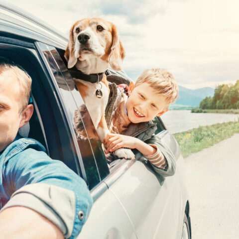 Familie mit Hund fährt in einem Auto auf der Landstraße.